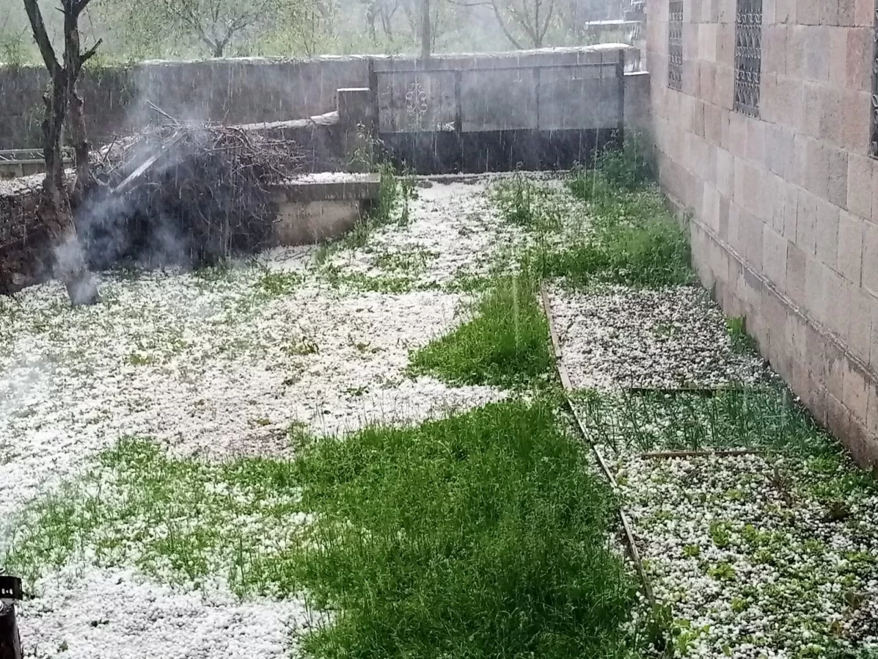 Ardahan'da dolu ve sağanak etkili oldu: Meyve ağaçları zarar gördü