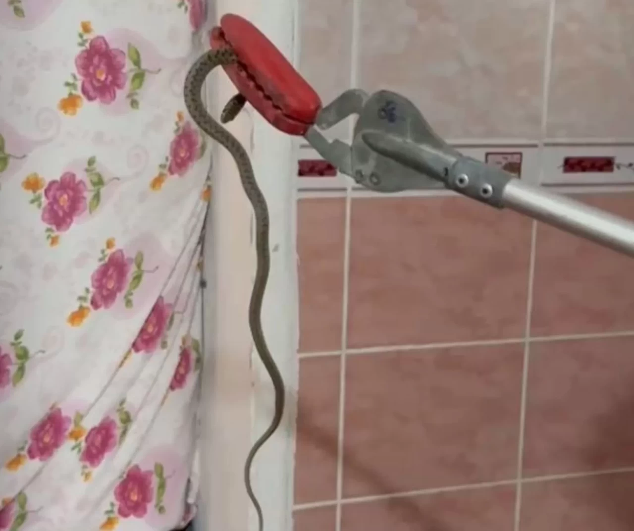 Mersin’de evde gizlenen yılan itfaiye ekiplerinden kaçamadı