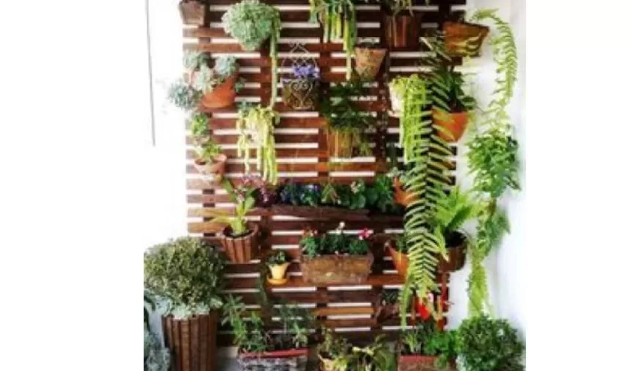 Küçük alanlarda büyük fikirler! Balkon ve bahçelerde dikey bahçe trendleri