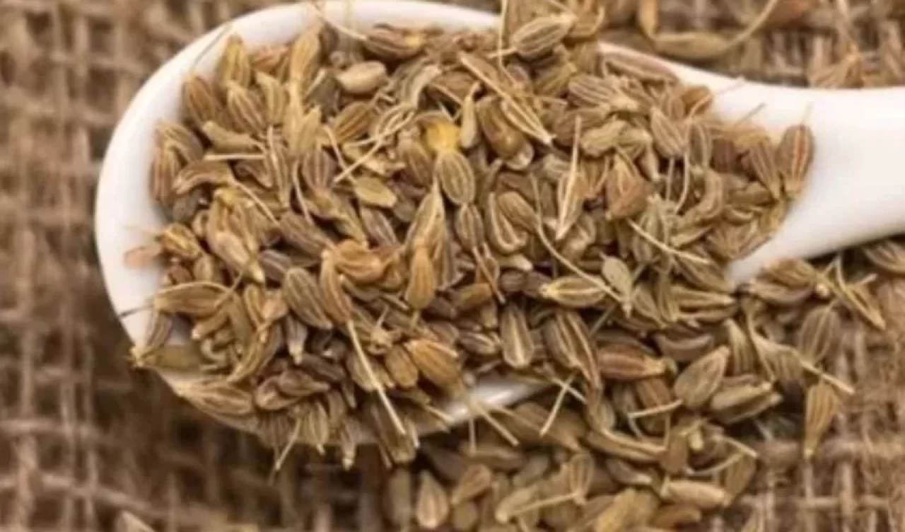 Anason çayı ne işe yarar, faydaları nelerdir?