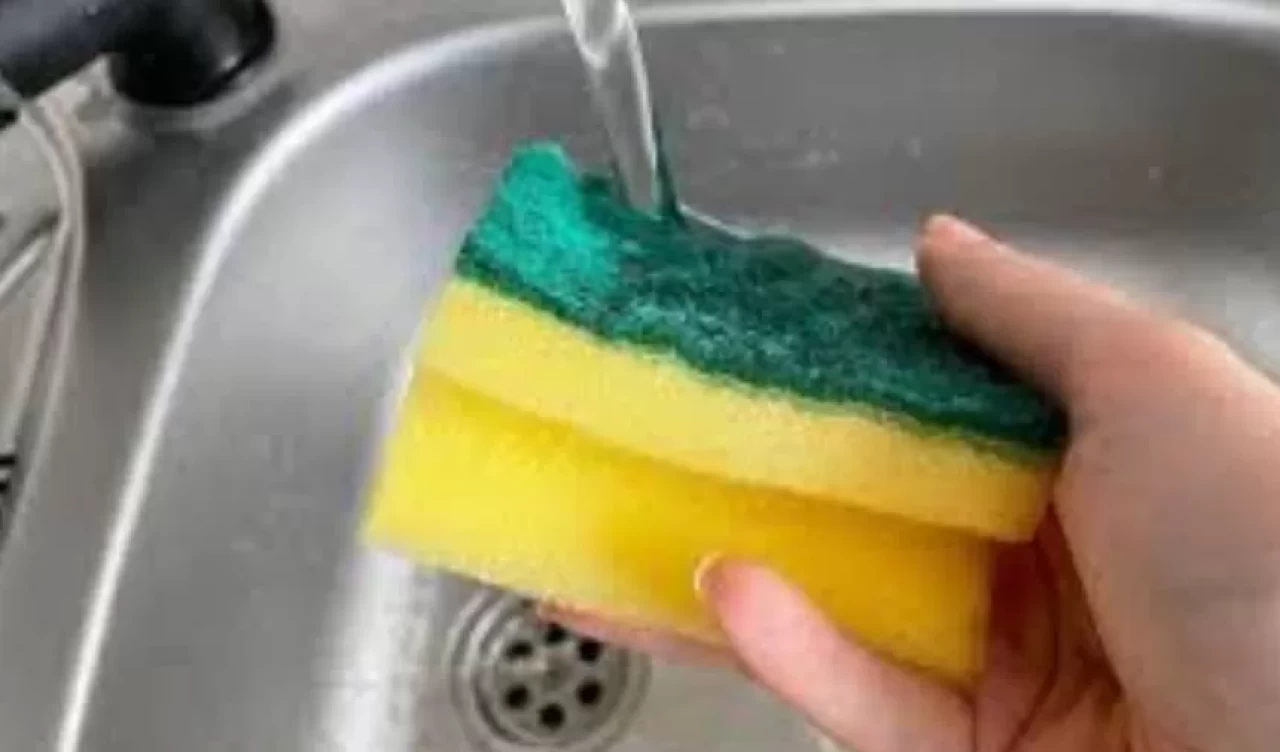Luffa’dan ahşap fırçaya! Bulaşık süngeri yerine kullanabileceğiniz 5 seçenek