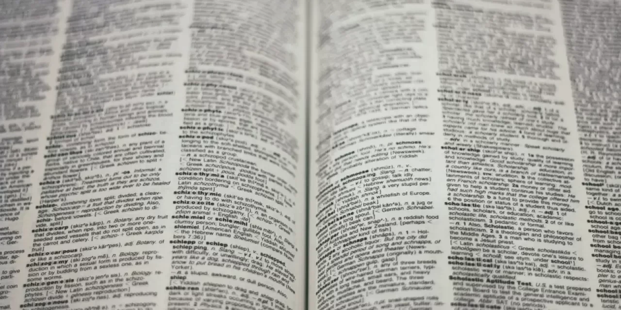 Etimolog Nasıl Olunur? Etimolog Olma Şartları Nelerdir?