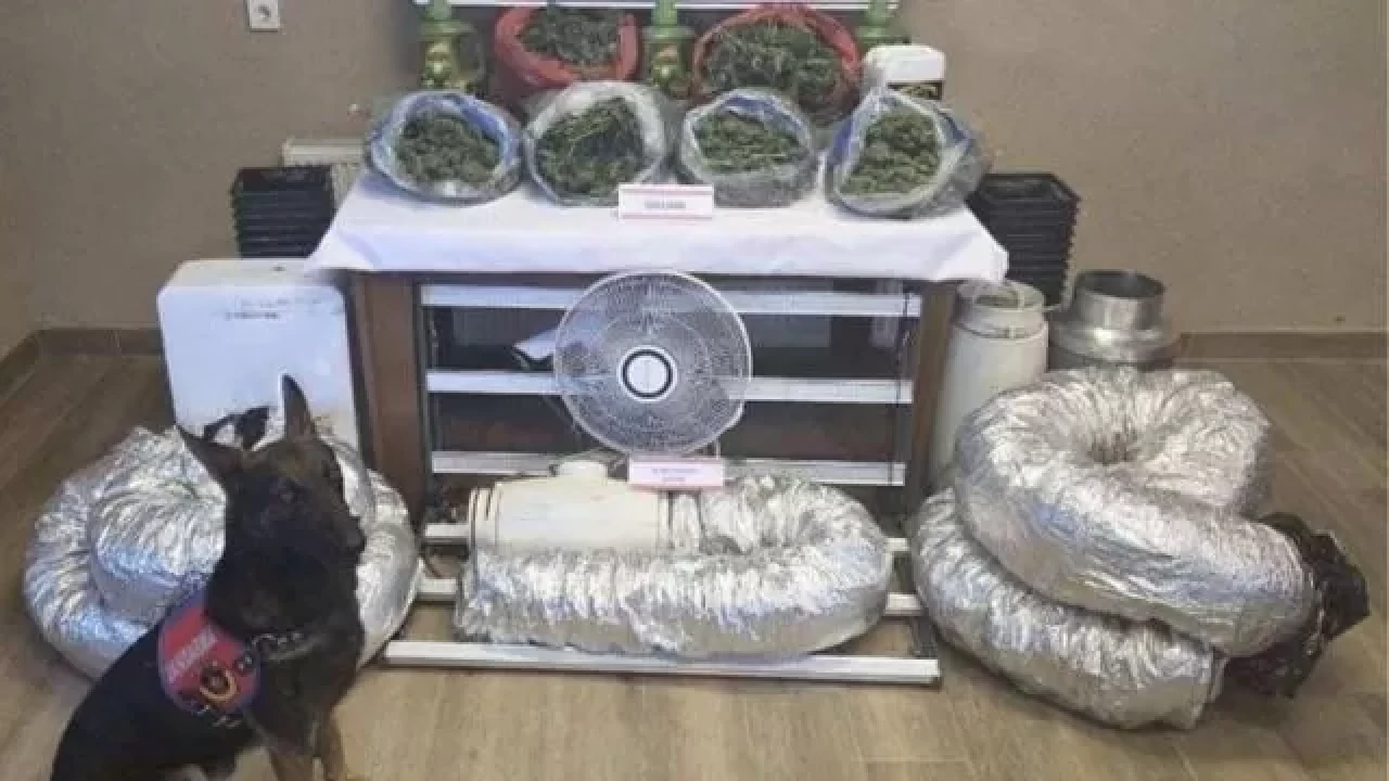 Sakarya'da evini uyuşturucu serasına çeviren şüpheli tutuklandı