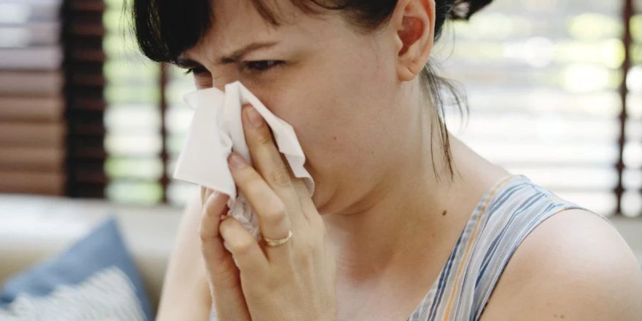Yaz gribi nedir? Süründüren hastalığın nedenleri