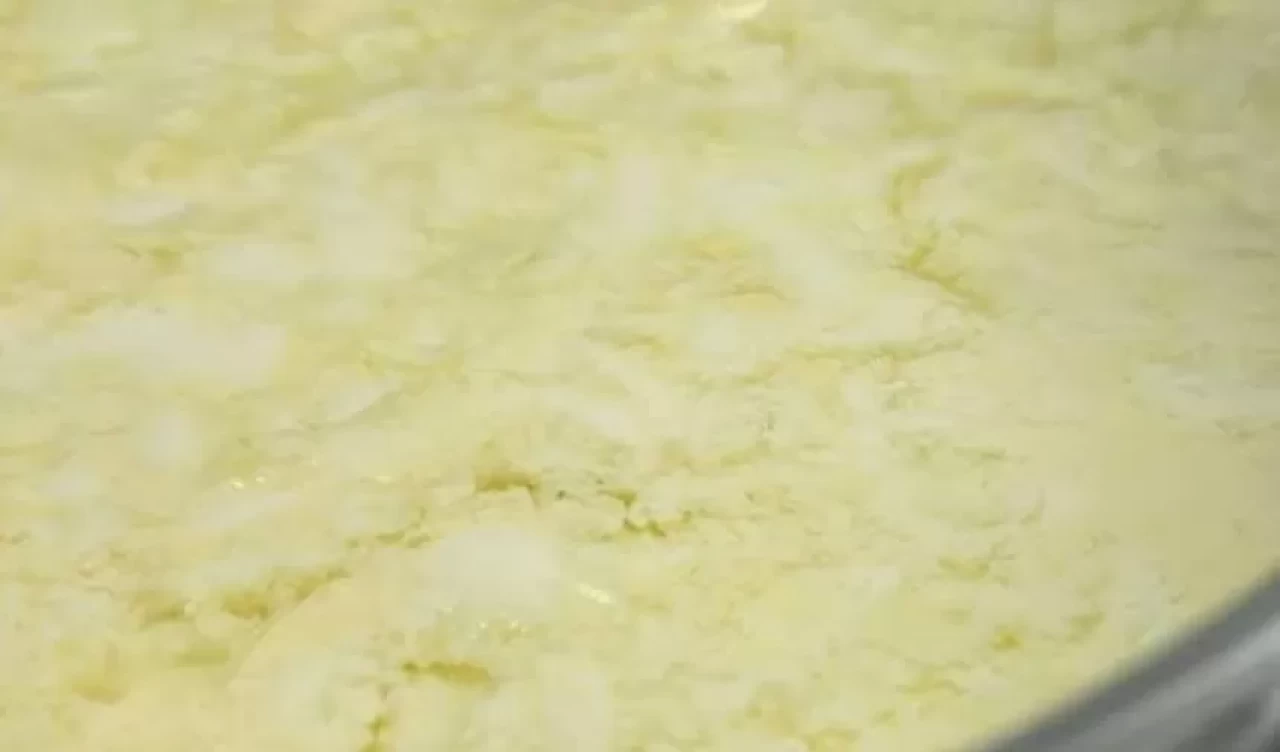 Sütünüz mayalanmadıysa dökmeyin! İsraf etmeden kullanmanın yolları