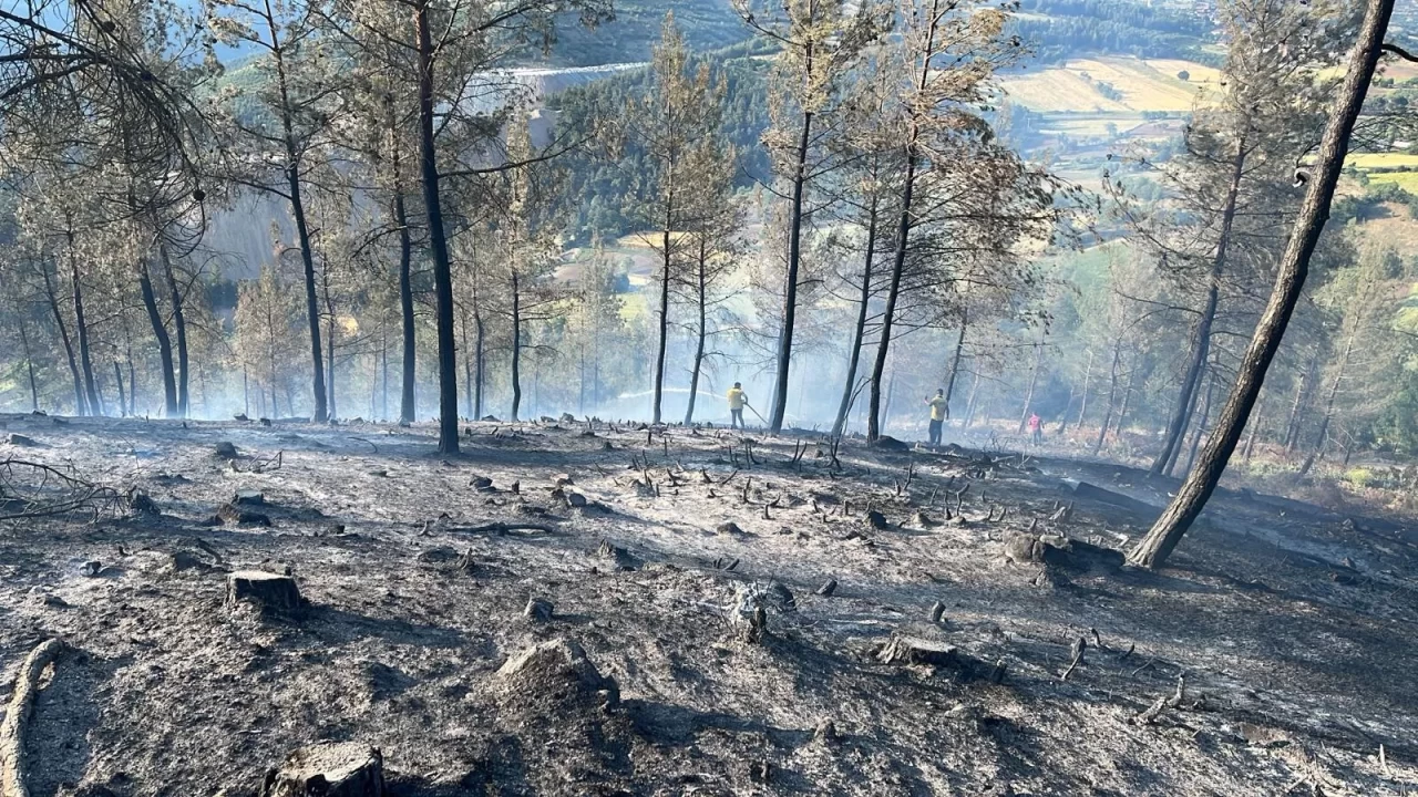 Balıkesir'deki orman yangını söndürüldü