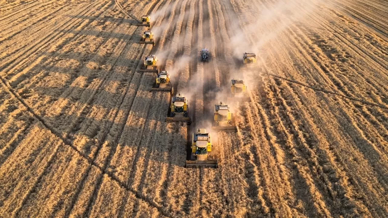 2025 yılı hububat alım fiyatları belli oldu!