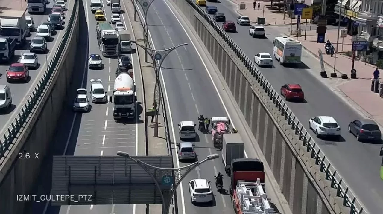 D-100'de kedi seferberliği: Trafik bir süre durdu