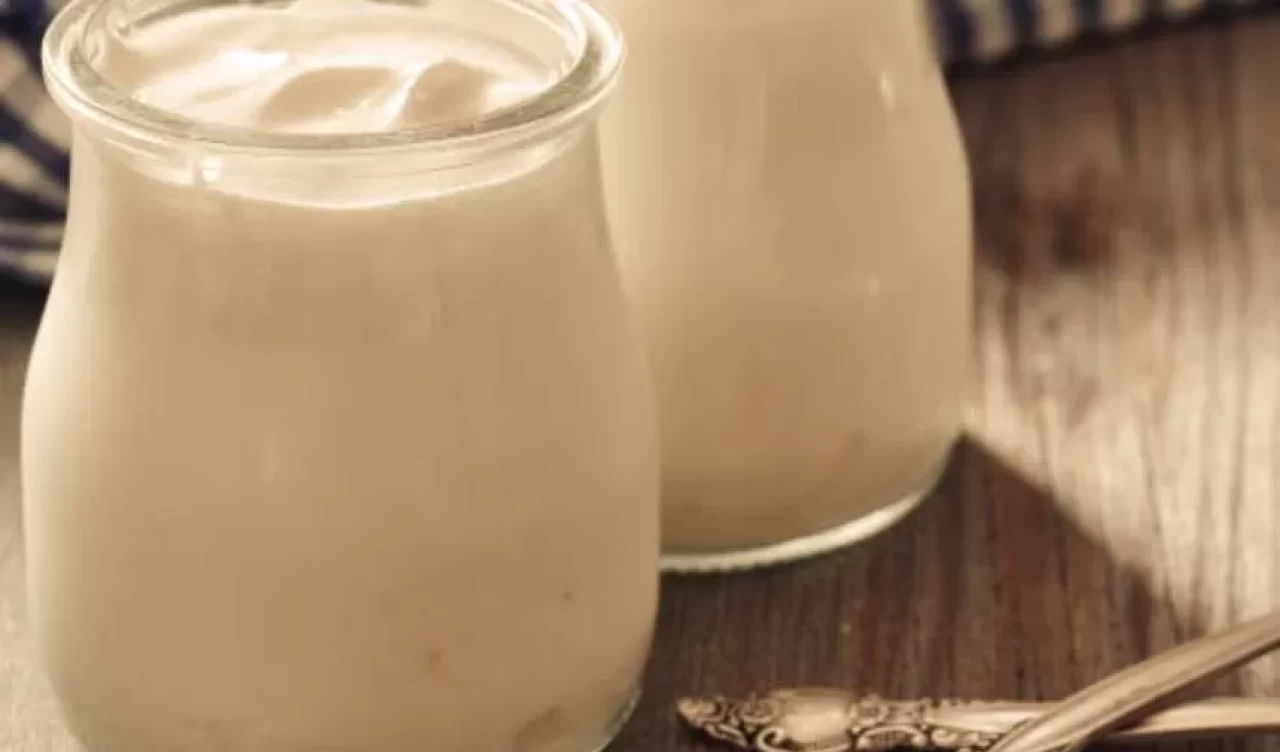 Yoğurt mayasını buzlukta saklama yöntemleri