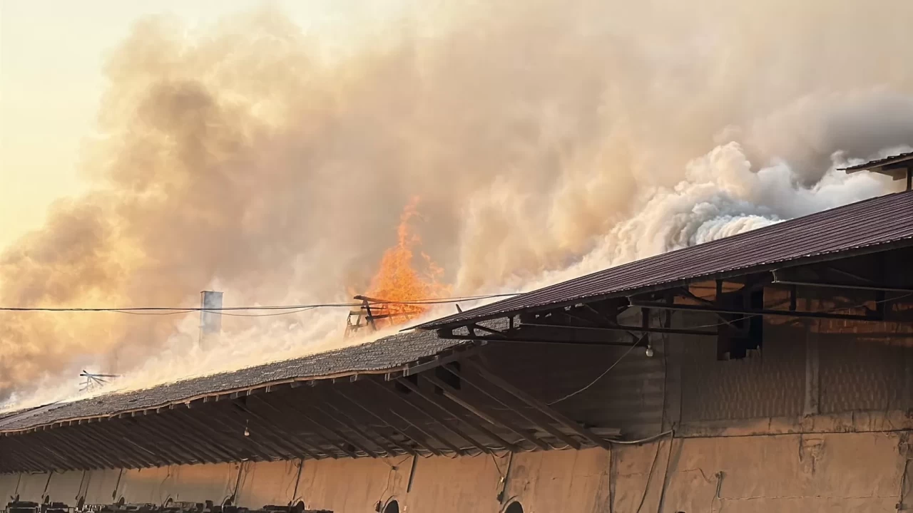 Tokat’ta tuğla fabrikasında çıkan yangında dumanlar gökyüzünü kapladı