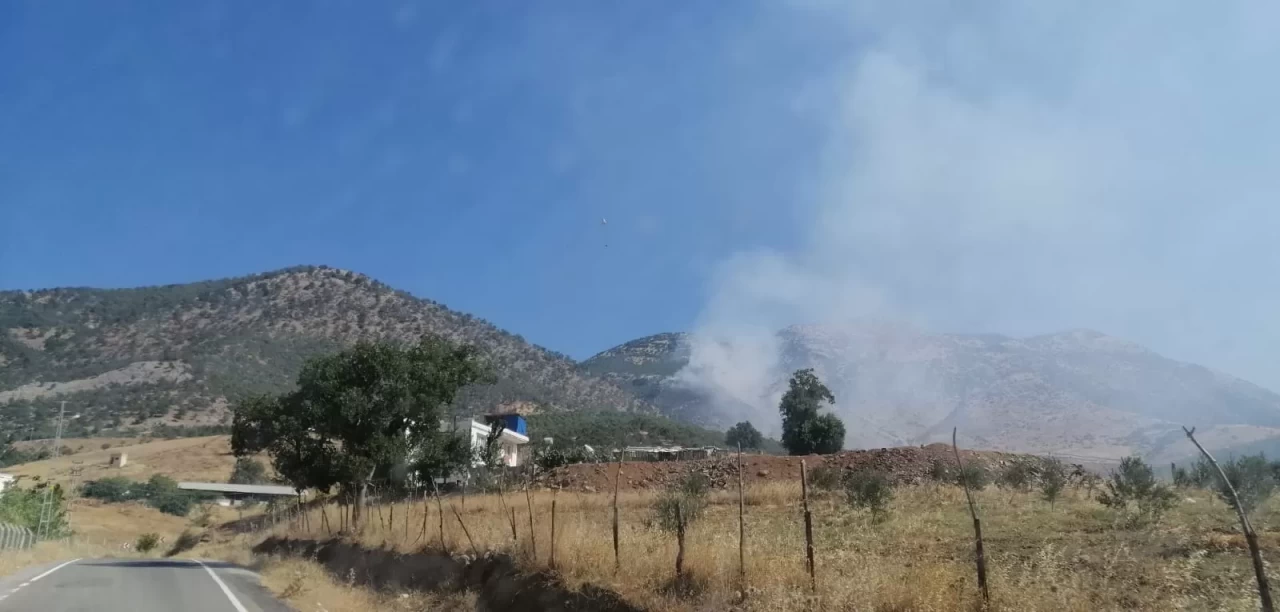 Kahramanmaraş'ta çıkan orman yangınına müdahale ediliyor