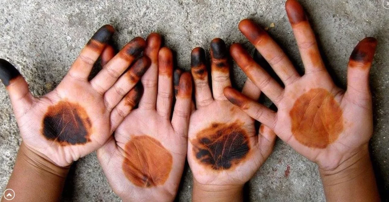 Kına Nasıl Çıkar?