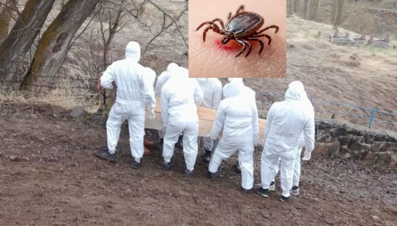 Kene kaynaklı KKKA hastalığı üç ilde can almaya devam ediyor