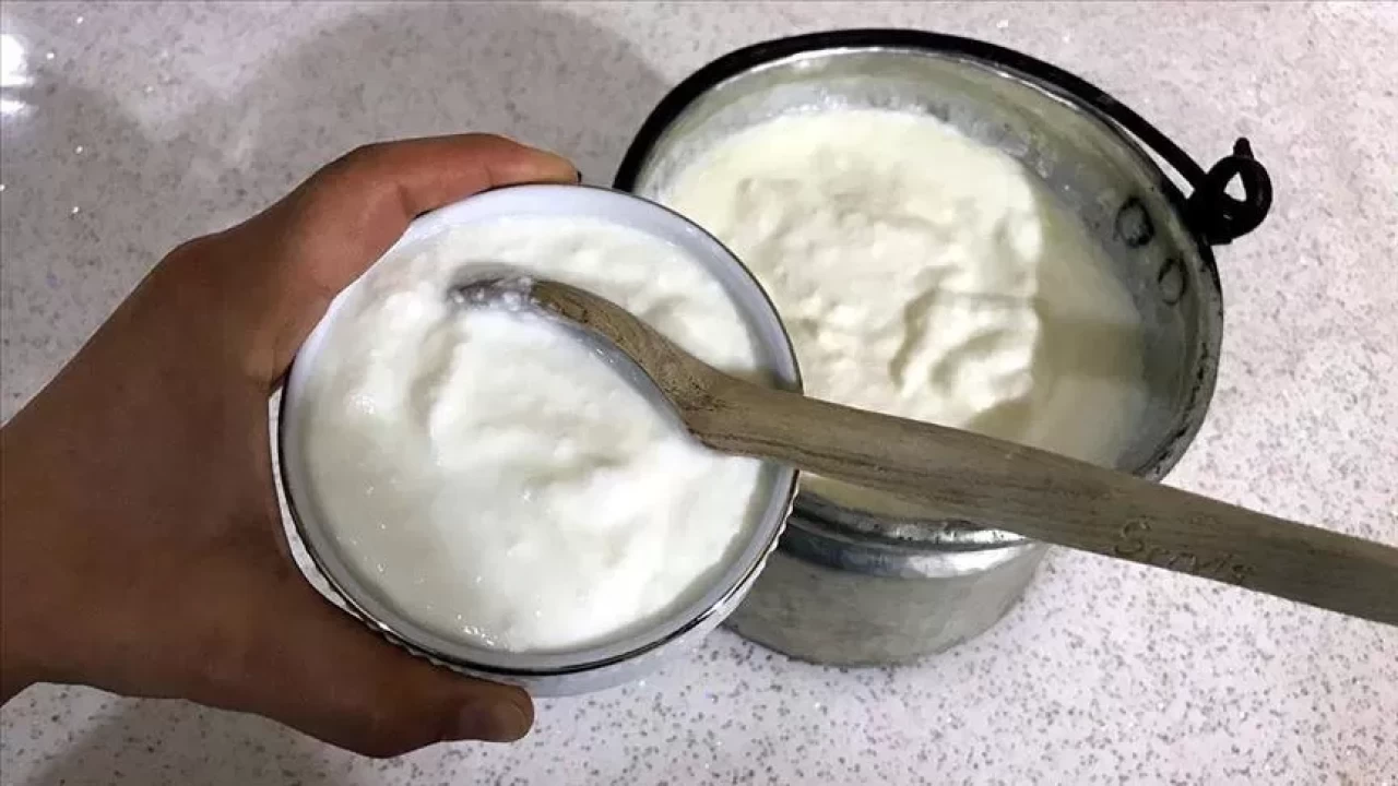 Fermente turşu ve kefir tarifi! Evde doğal yöntemlerle nasıl hazırlanır?