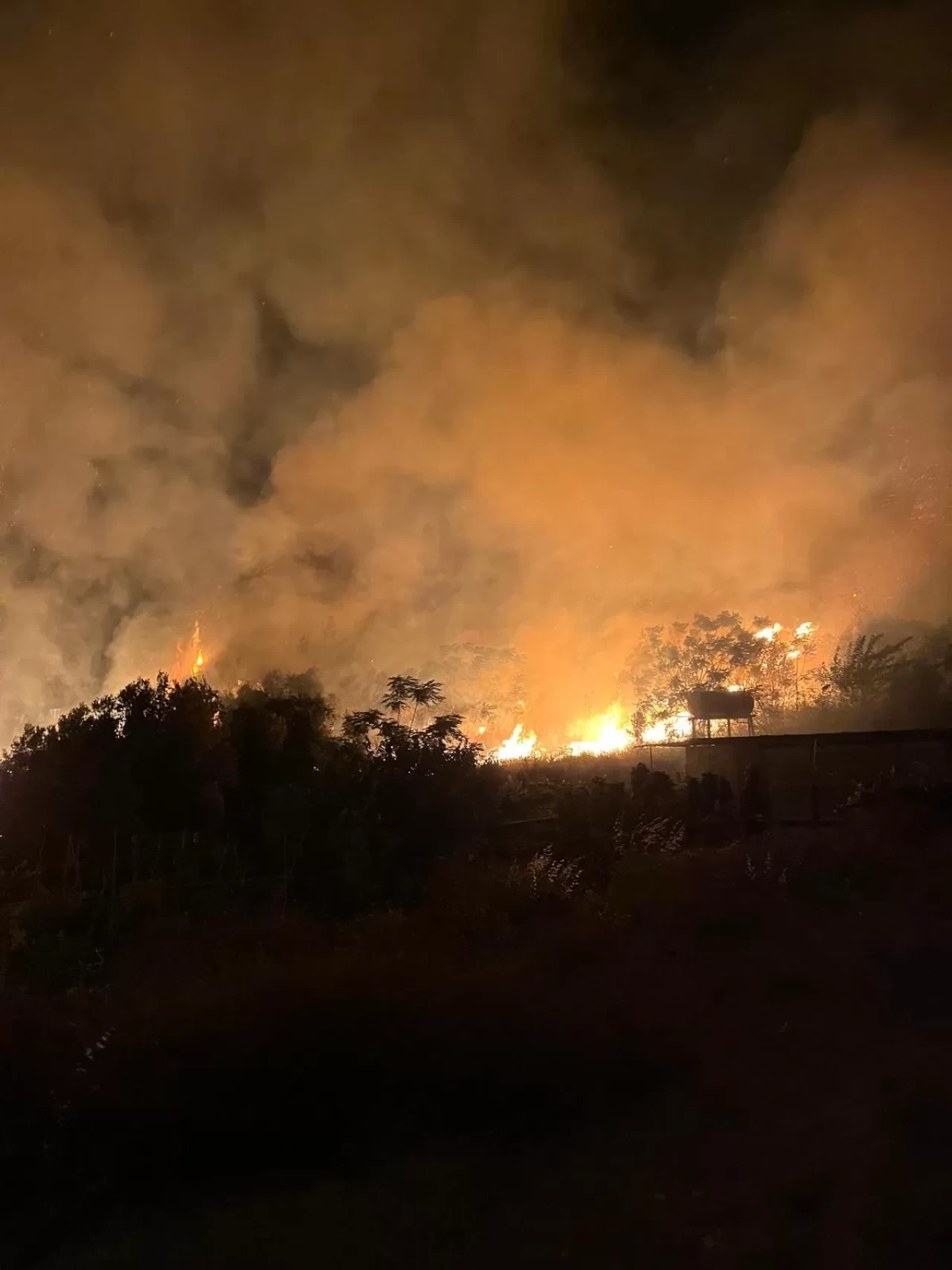 Hatay'da evin bahçesinde yangın... İtfaiye ekipleri zamanla yarıştı