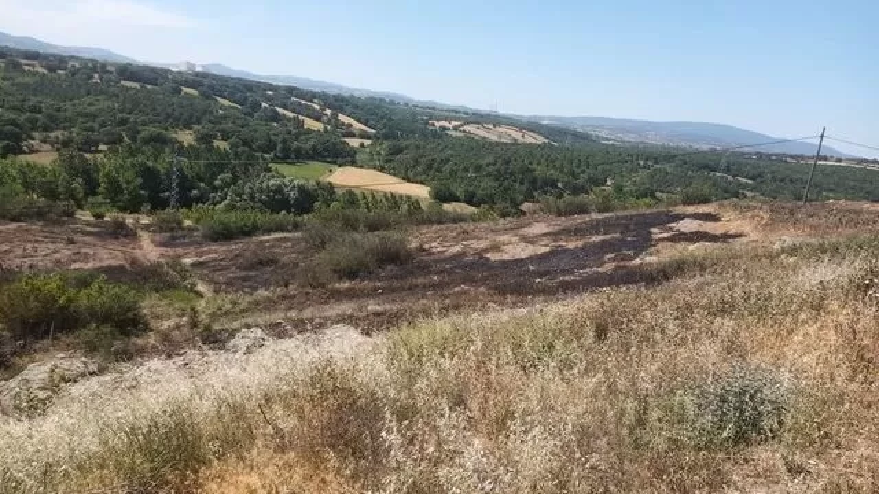 Çanakkale'nin Çan ilçesinde karganın neden olduğu yangın söndürüldü