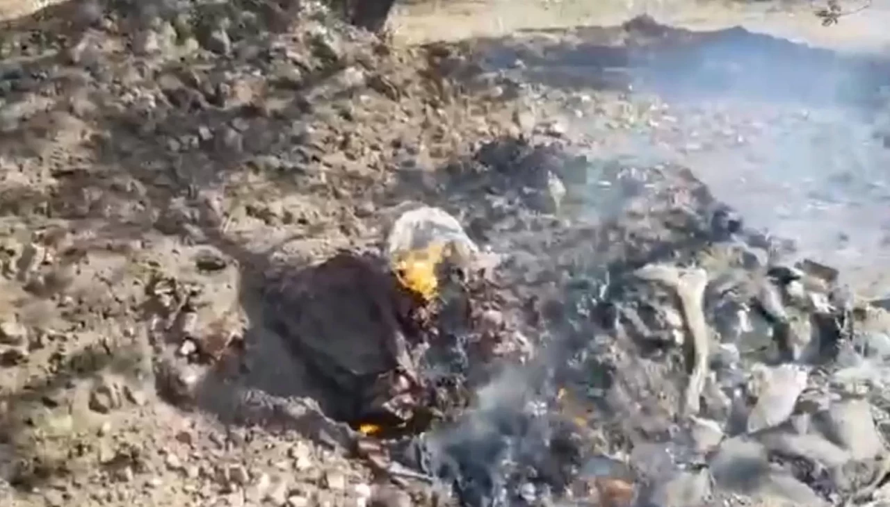 Edremit'te çöplükteki yangın tarım arazisine sıçradı