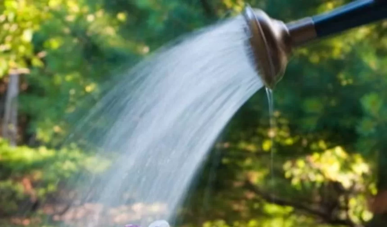 Bitkilerinizin sağlıklı büyümesi için etkili sulama taktikleri