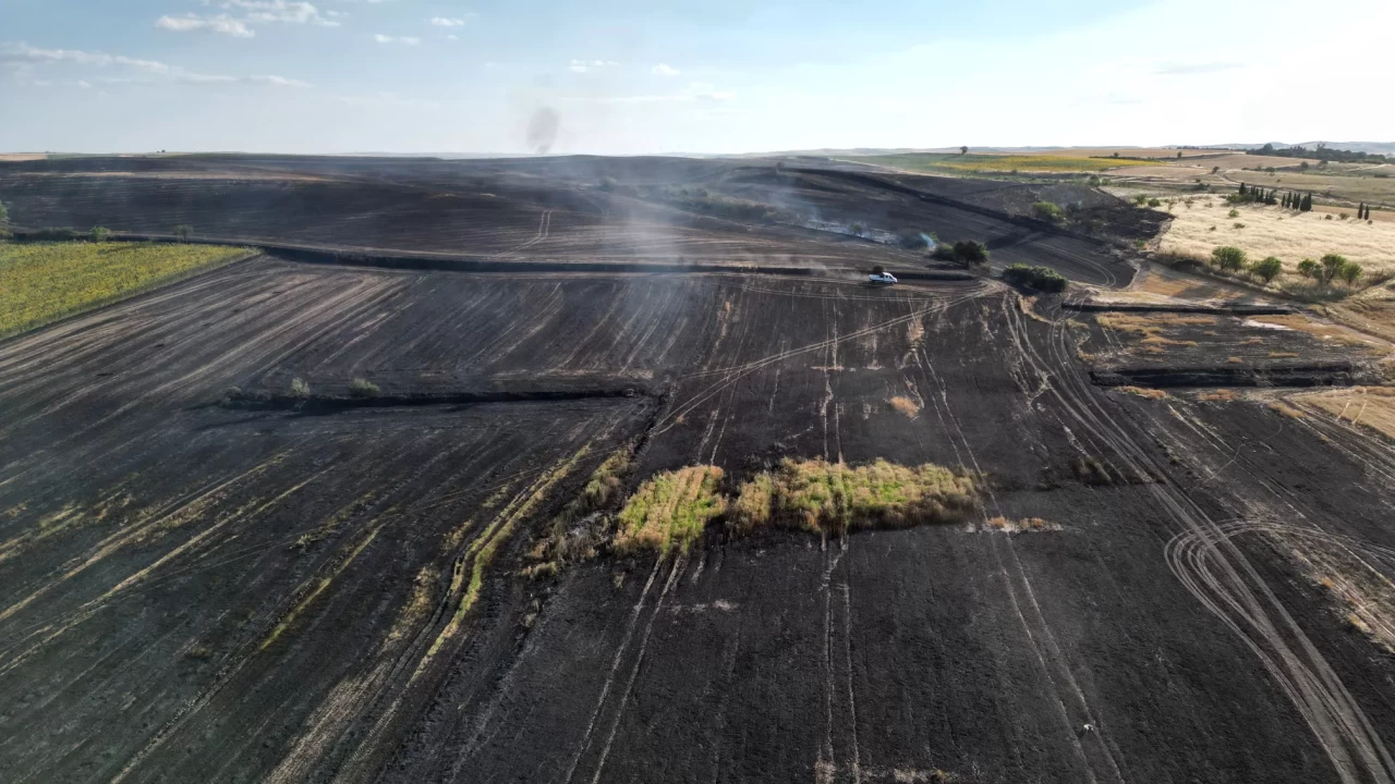 Tekirdağ'da çıkan yangında 1500 dekar tarım arazisi kül oldu