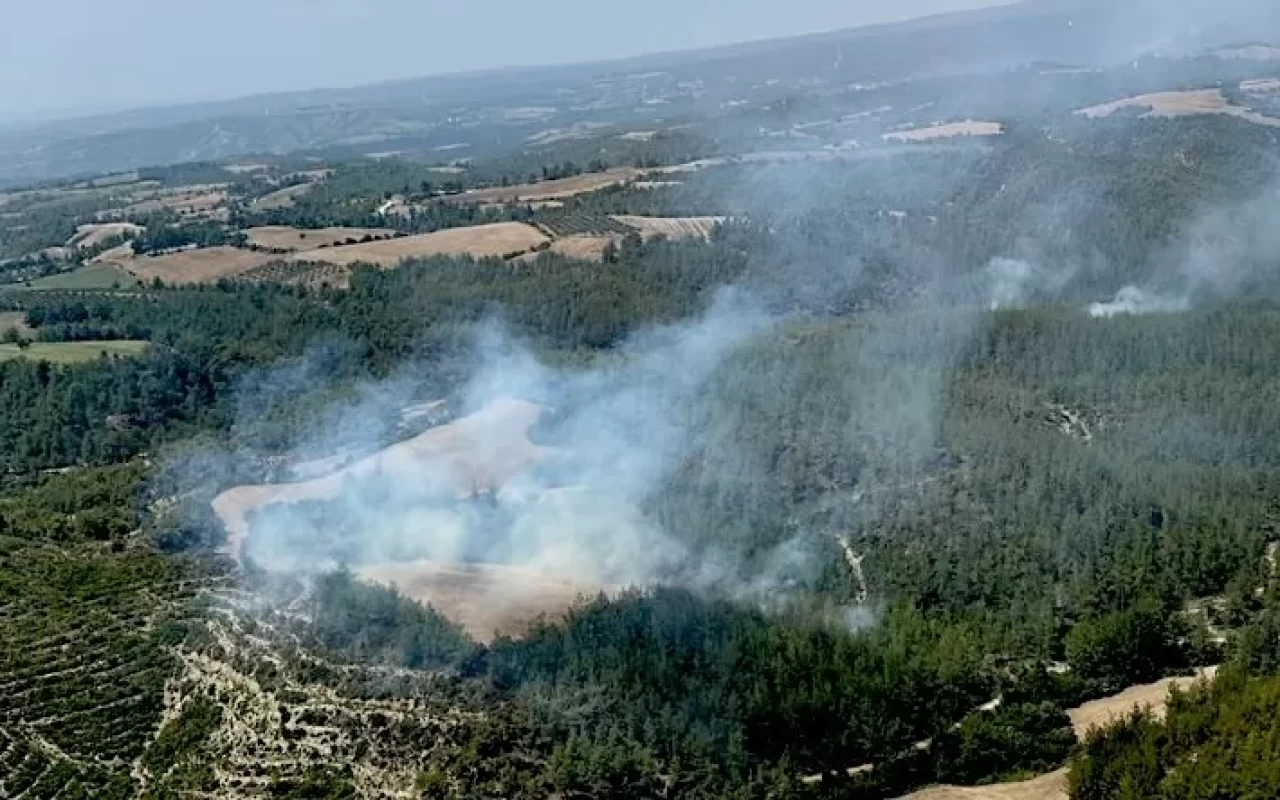 Adana'da orman yangını: Havadan ve karadan müdahale sürüyor