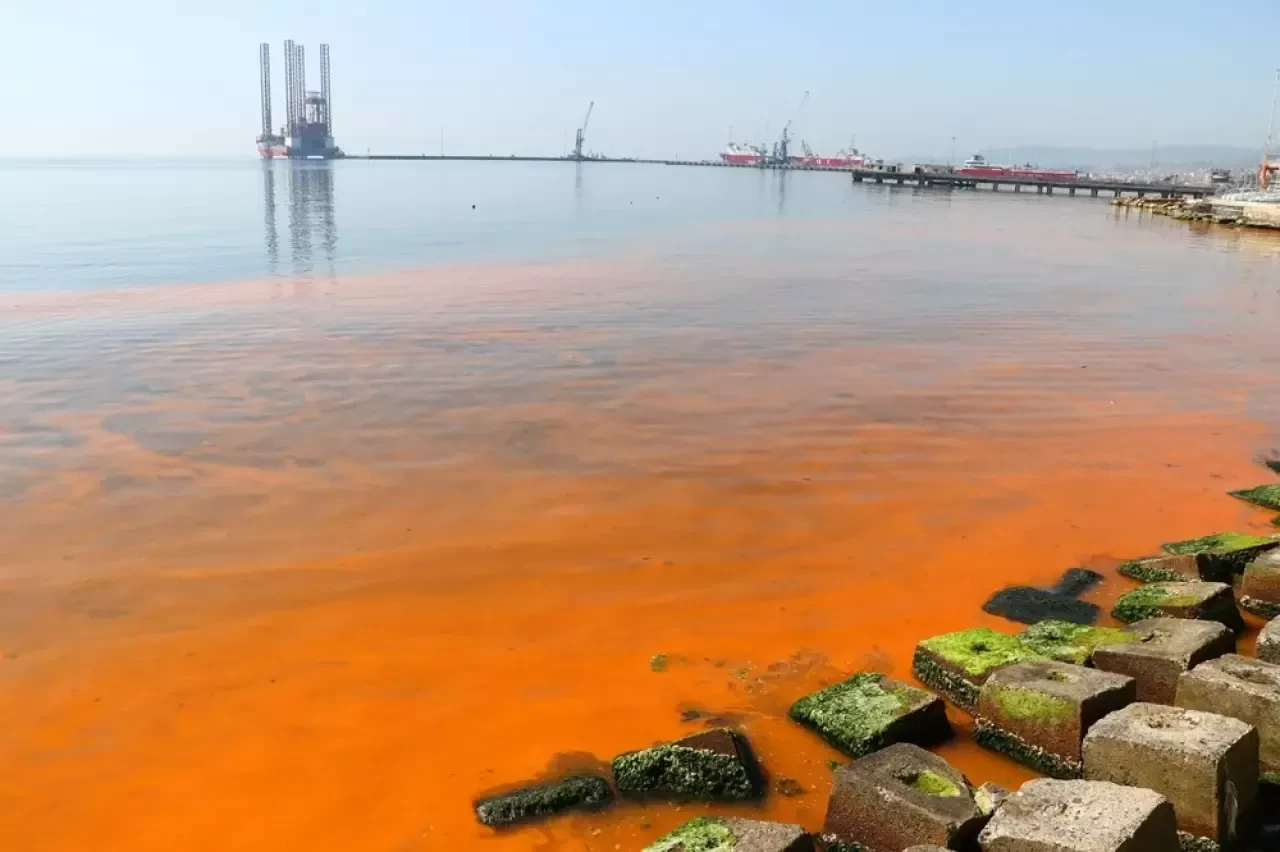 Kocaeli'de denizin kıyısı turuncuya büründü