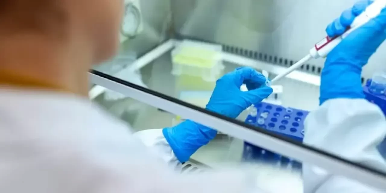 Mikrobiyolog Nasıl Olunur? Mikrobiyolog Olma Şartları Nelerdir?