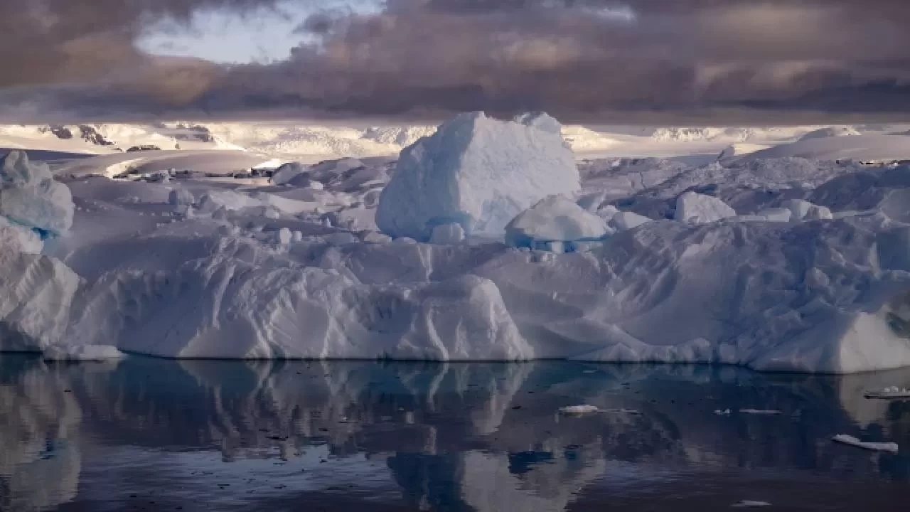 Dünya'nın buzlu geçmişi: Yaşam nasıl hayatta kaldı?