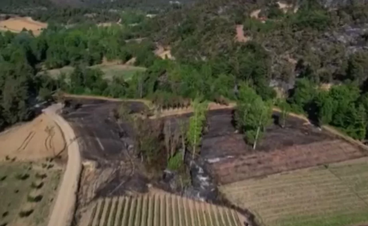 Acı üstüne acı: Tarlası kül oldu, kazada yakınını kaybetti