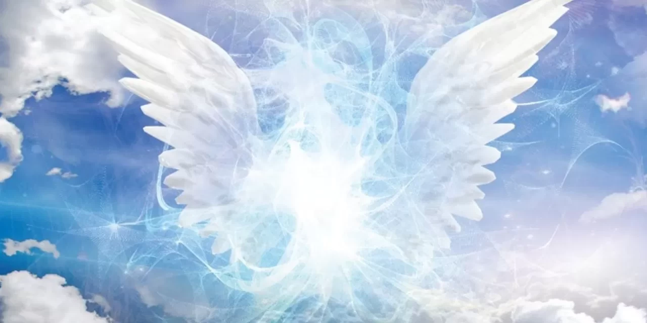 Melek sayımı nasıl bulurum?