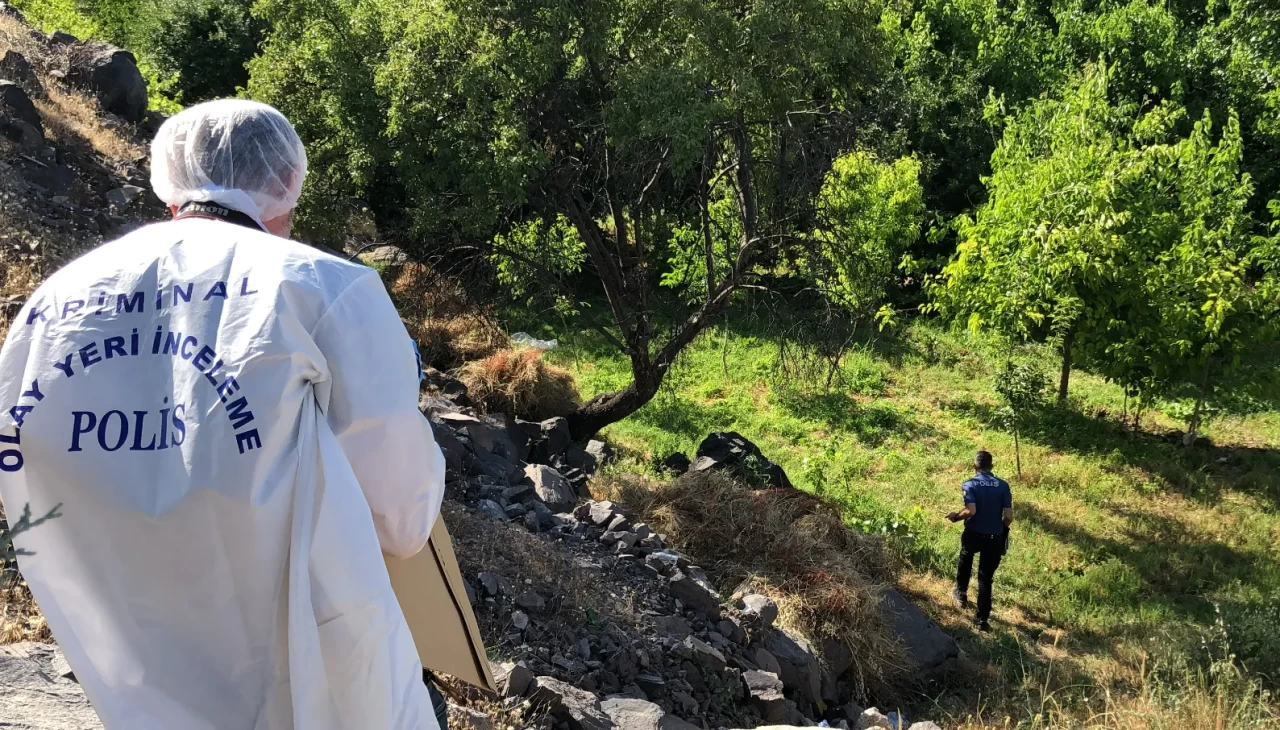 Elazığ’da tüyler ürperten olay! Ağaca asılı halde erkek cesedi bulundu