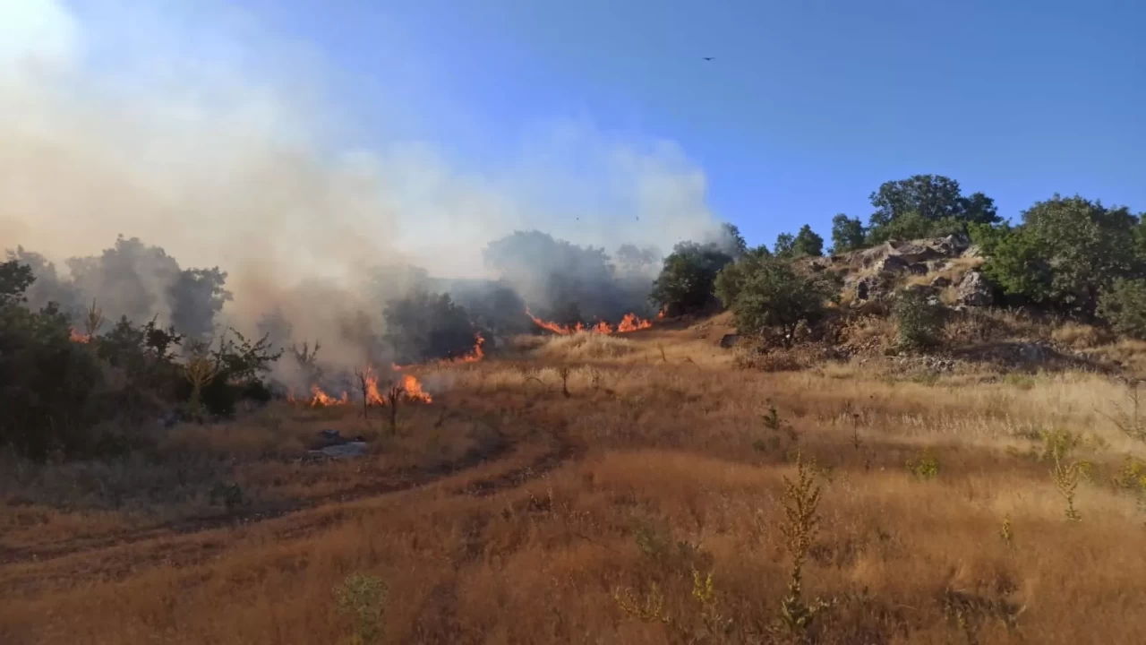 Adıyaman'da orman yangını