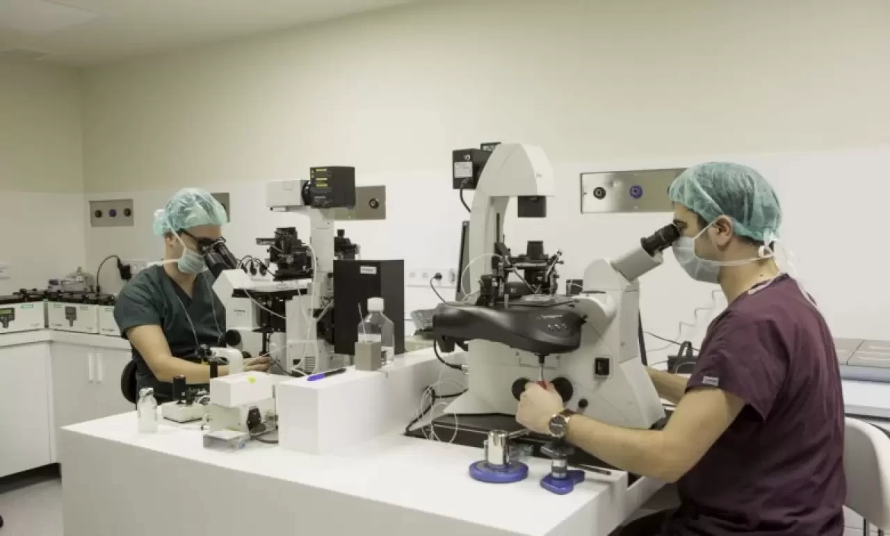 Embriyolog Nasıl Olunur? Embriyolog Olma Şartları Nelerdir?