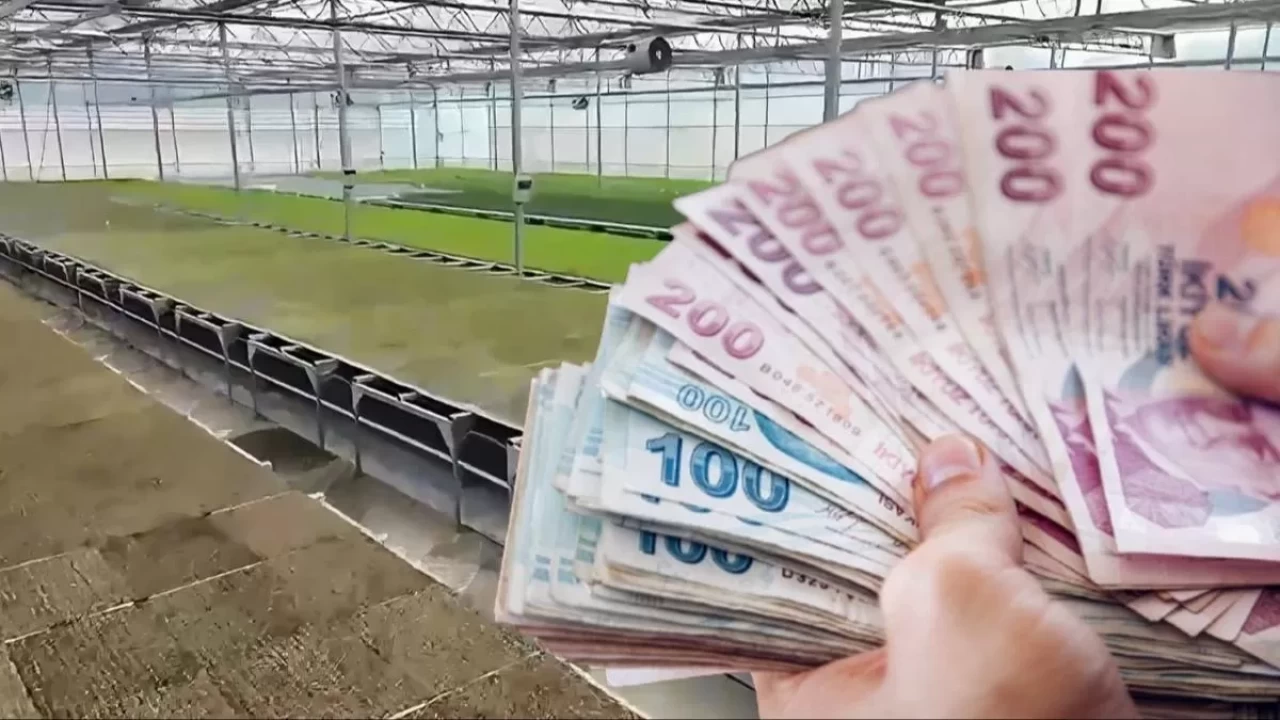 Karadeniz’de bir ilk! Tarımda yeni dönemin lokomotifi olacak