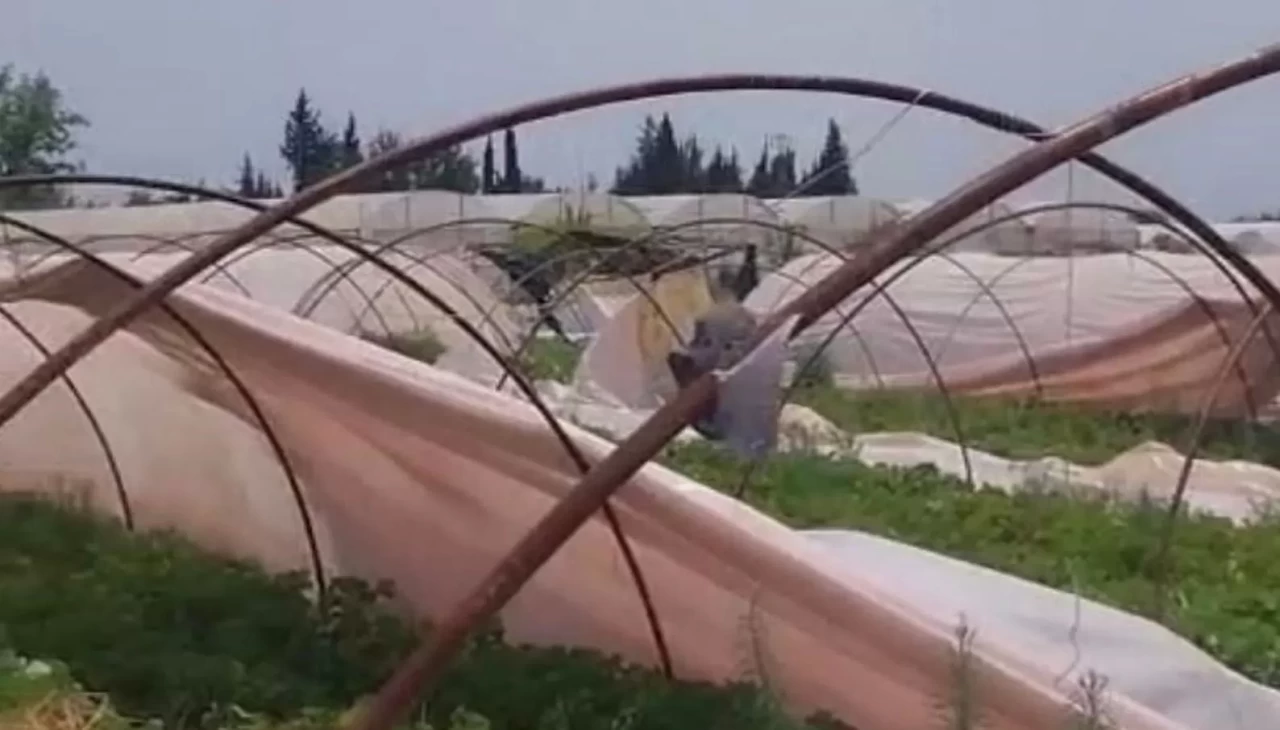 Antalya'da hortum seralara zarar verdi