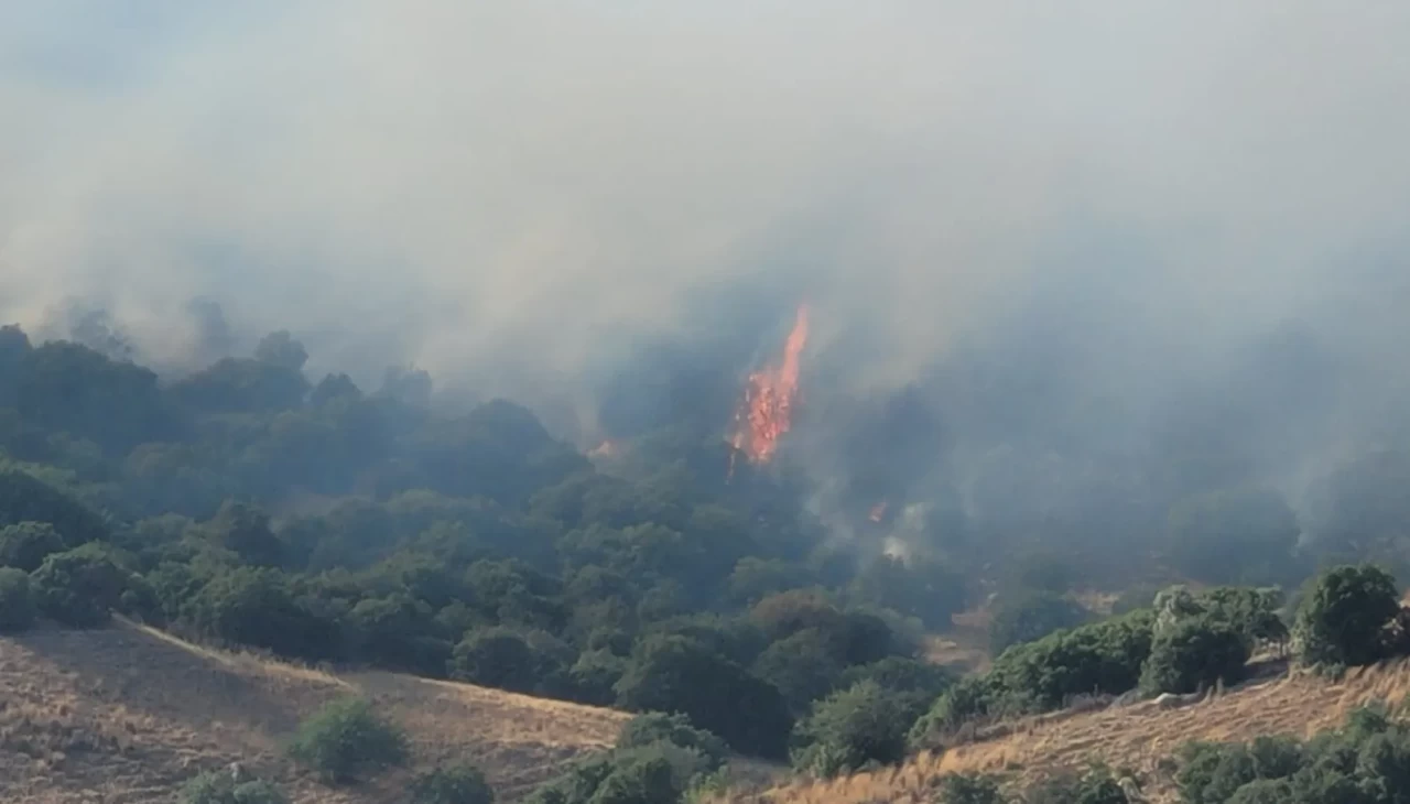Aydın’da alevlere hava ve kara desteği! Yangın kontrol altına alınamıyor