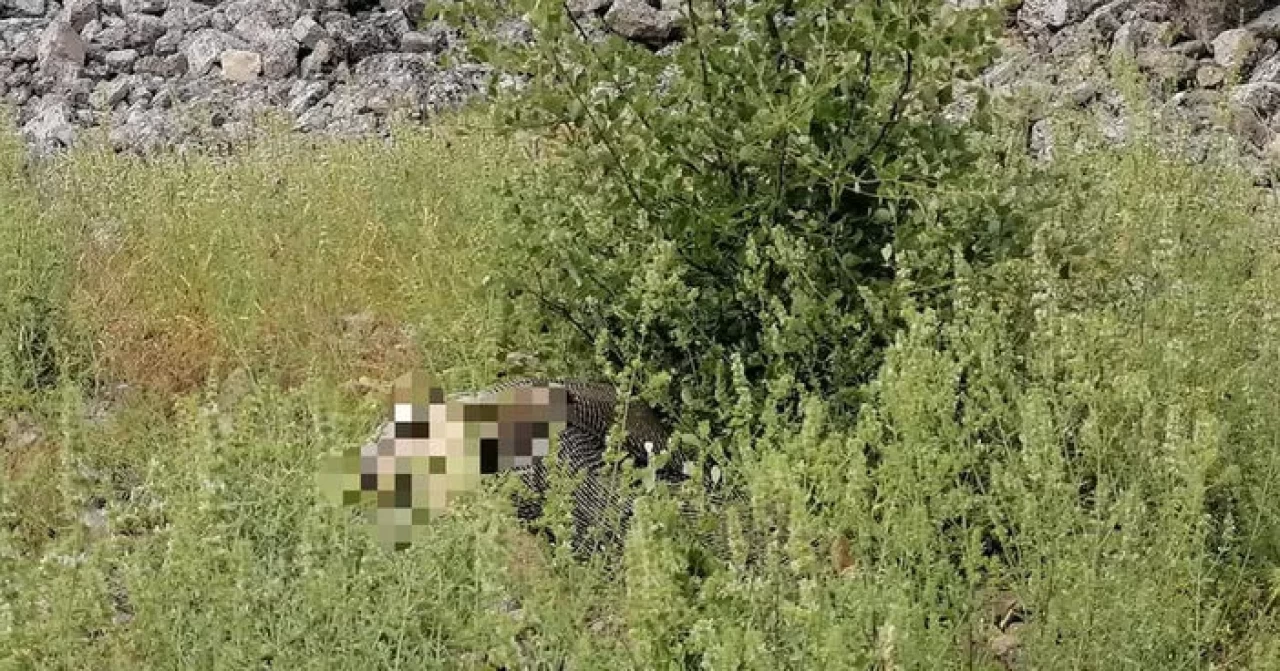 Burdur'da kayalıklardan düşen kadın olay yerinde yaşamını yitirdi