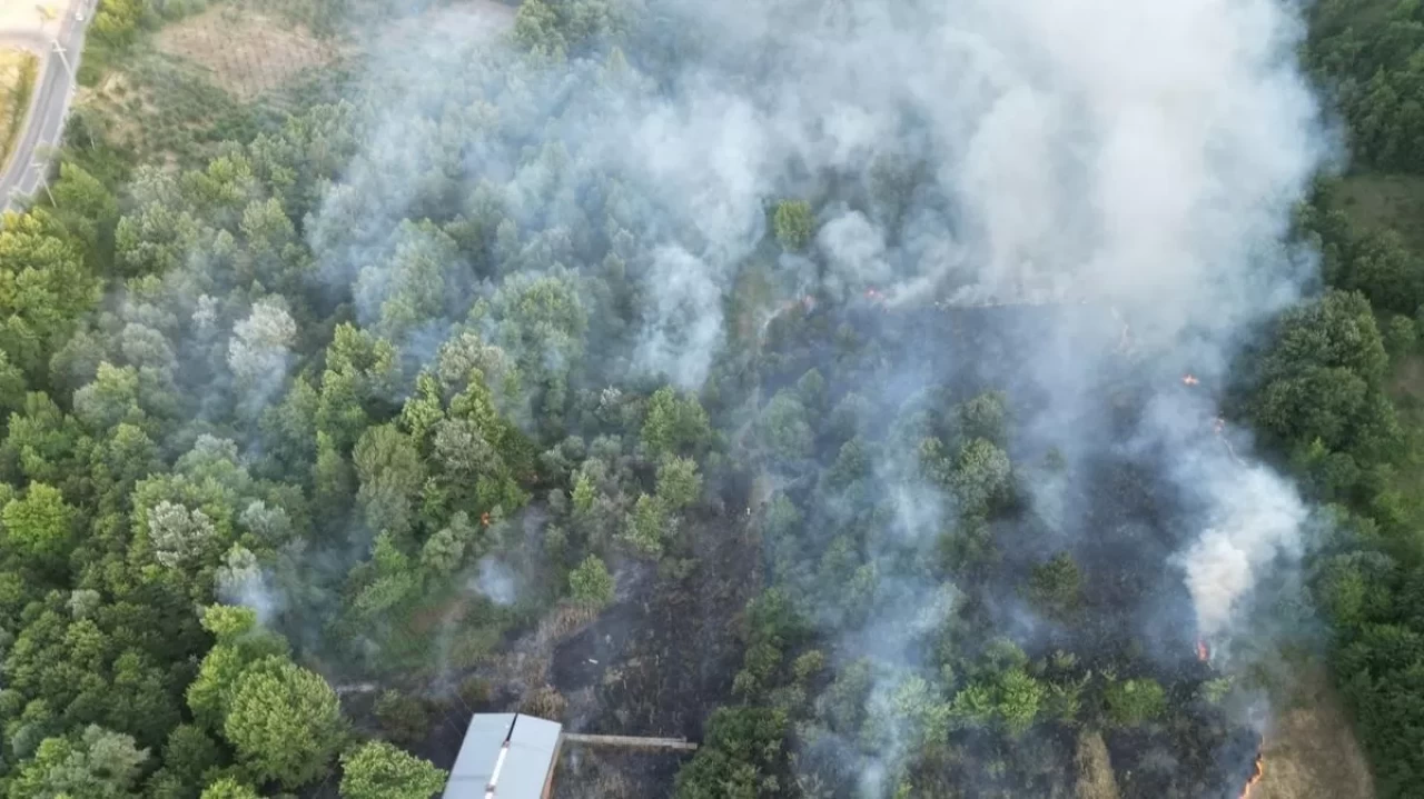 Orman yangınlarıyla ilgili soruşturma: 17 gözaltı