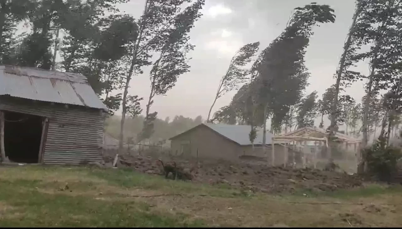 Muş’ta fırtına ağaçları ve elektrik direklerini devirdi