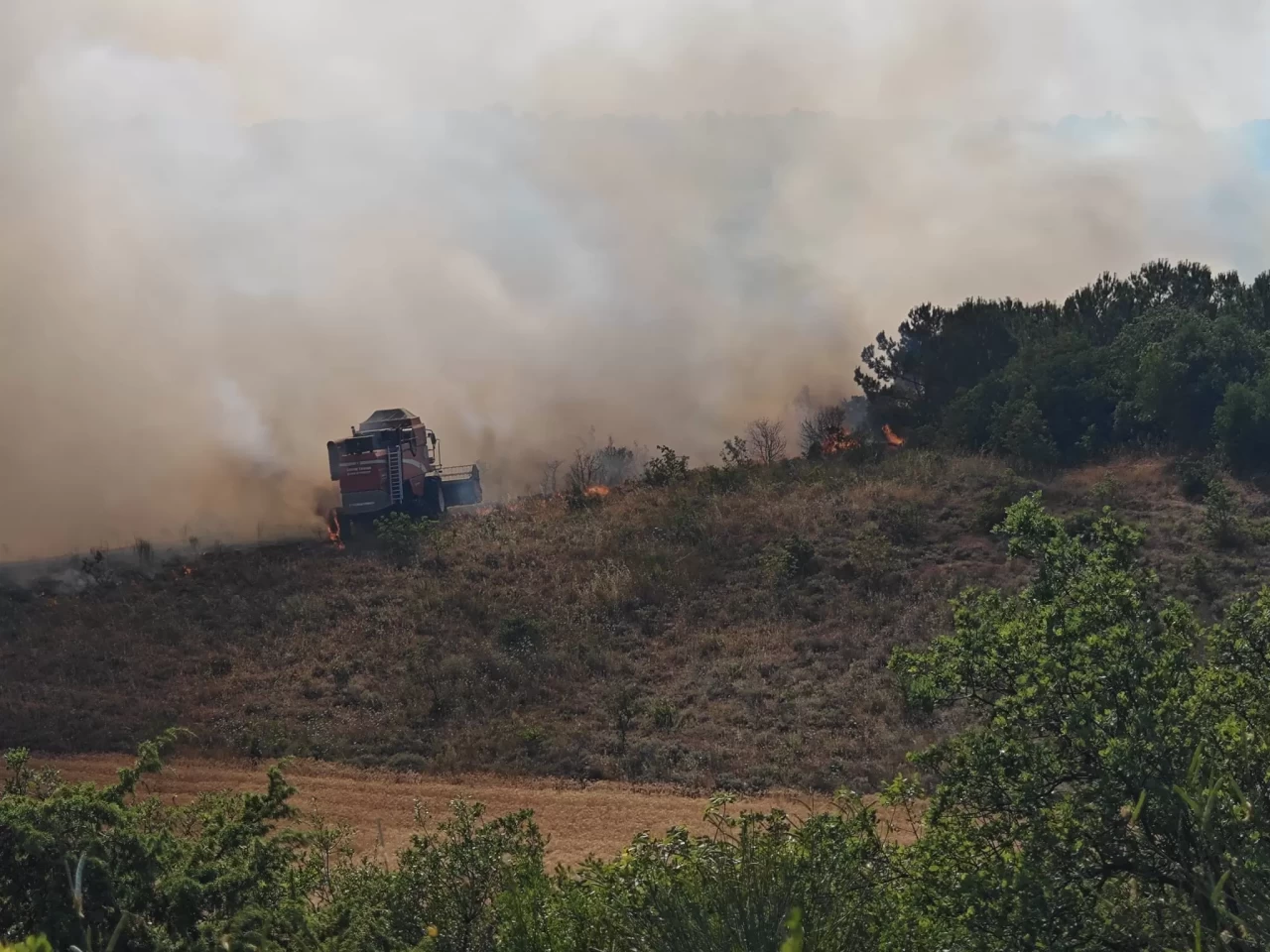 Bursa'da orman yangını! Ekipler müdahale ediliyor