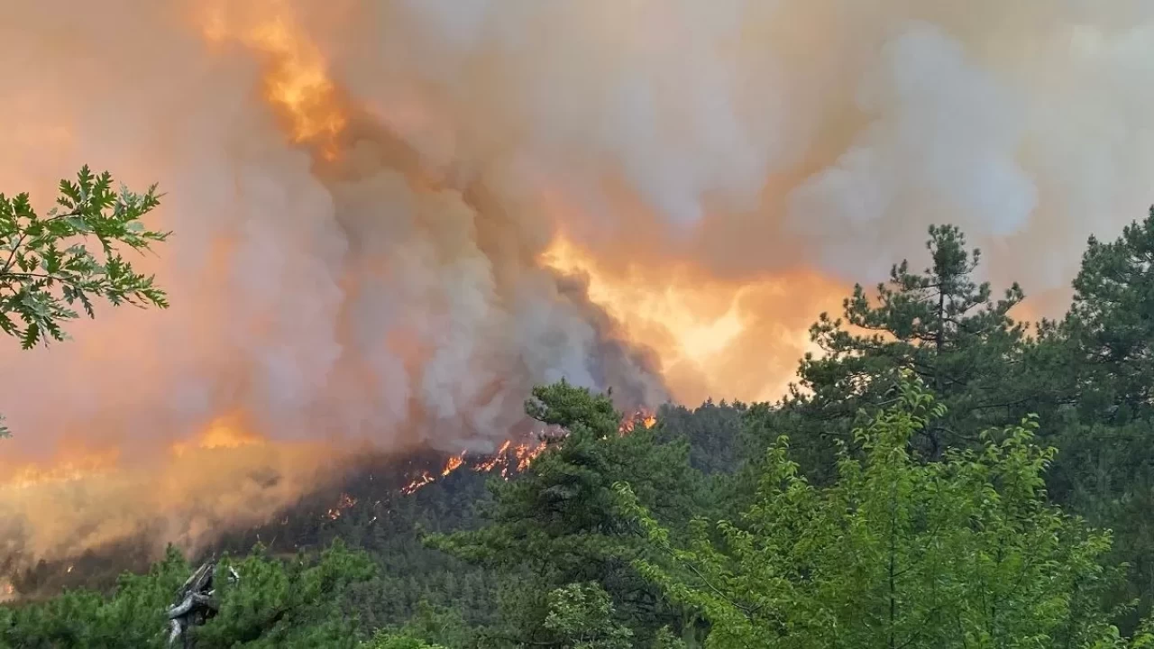 Sakarya’da başlayan yangın Bilecik’e sıçradı
