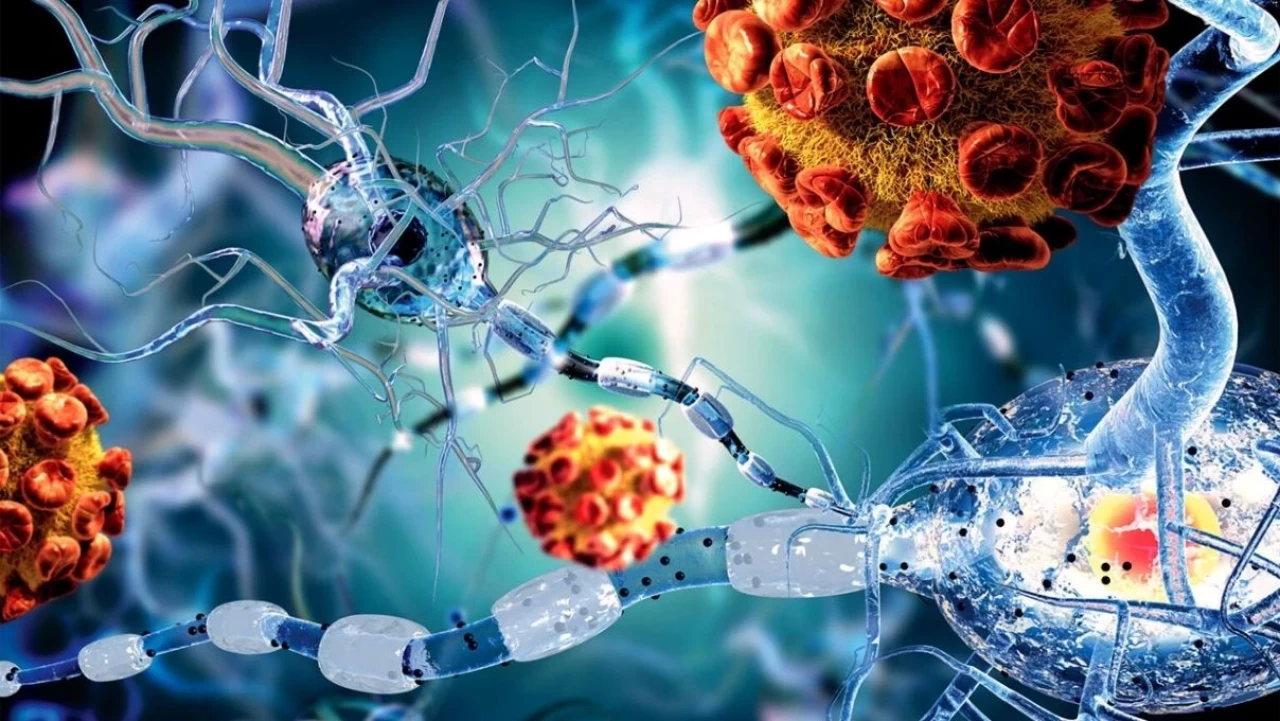 Kandaki toksinlerden tek seferde kurtulun!