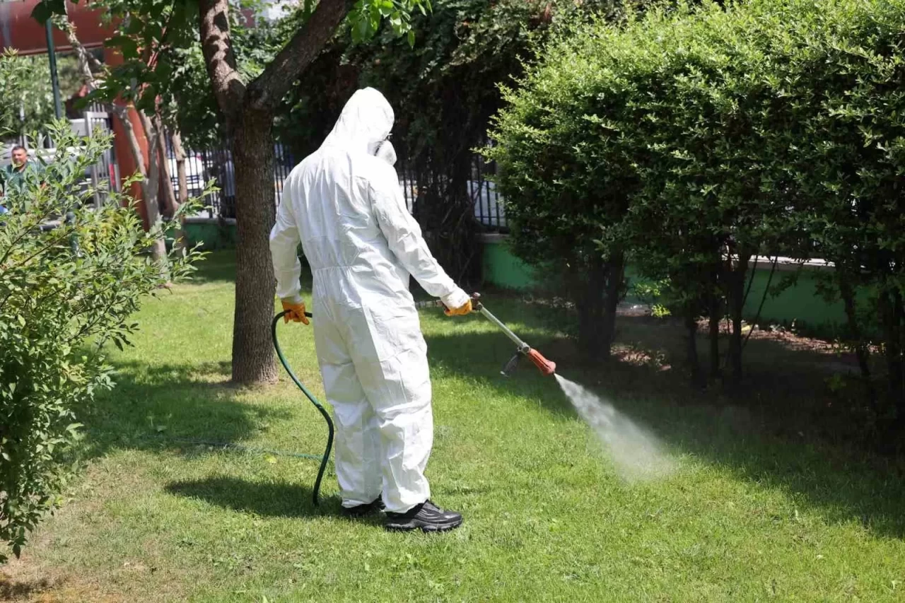 Bahçe bakımında başarılı olmanın 7 altın kuralı!