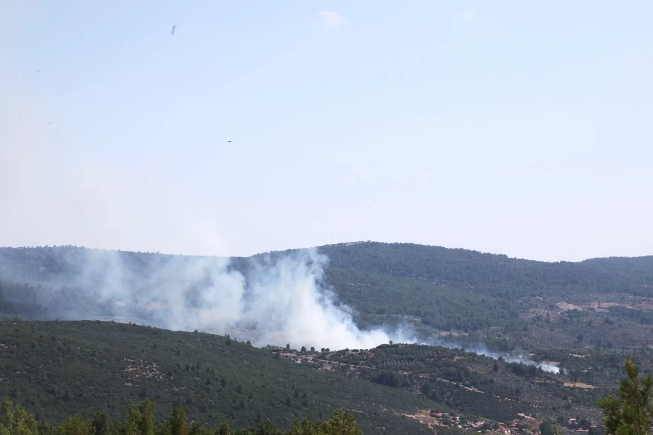 Menteşe'de orman yangını başladı