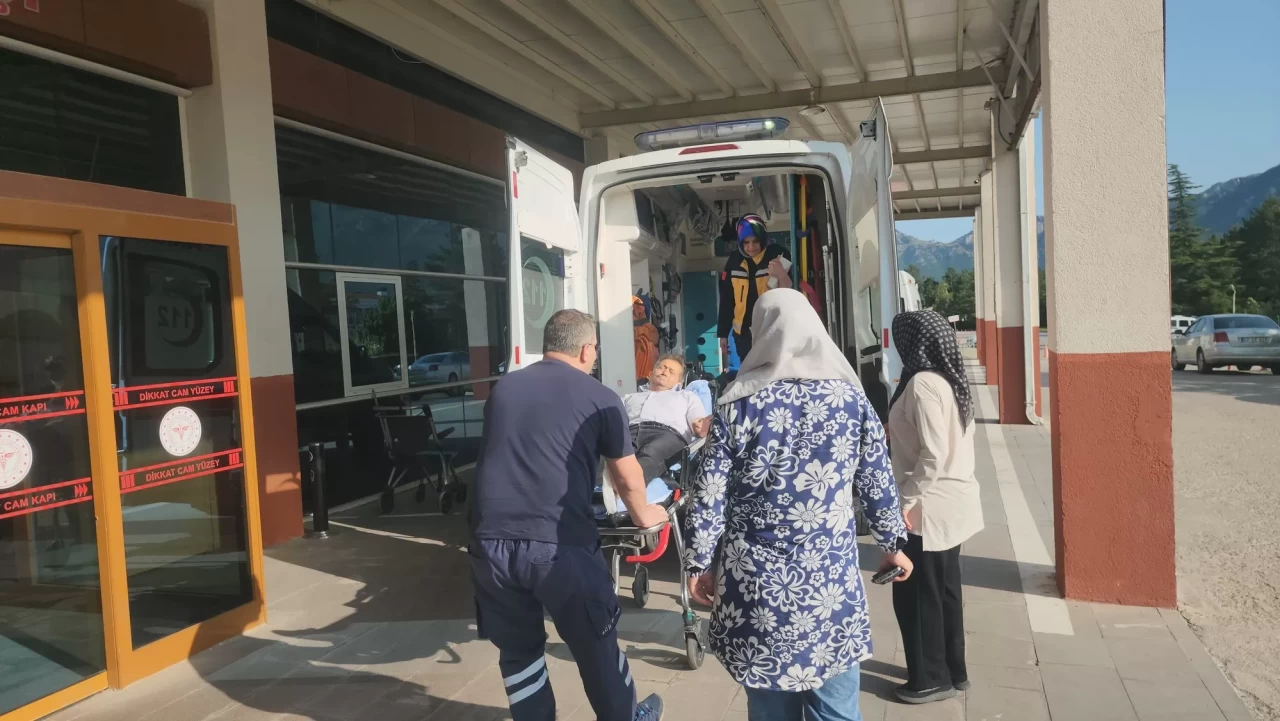 Konya'da pikniğe giden kişiyi yılan ısırdı