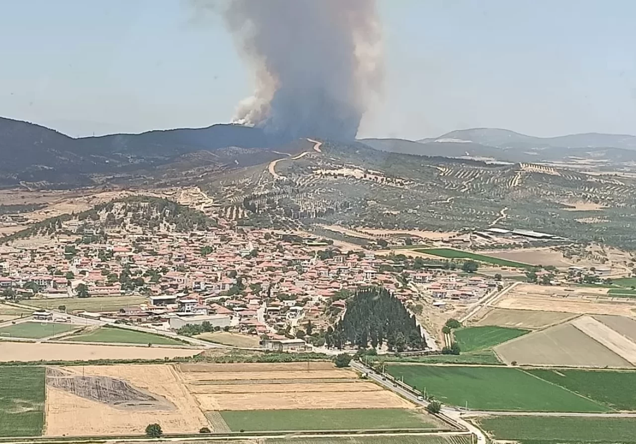 Bozköy Mahallesi'nde orman yangını! Ekipler havadan ve karadan müdahale ediyor