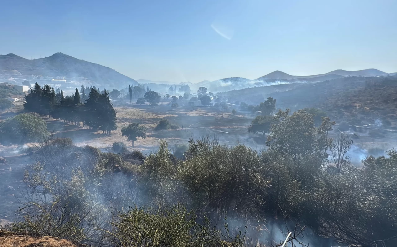 Bodrum'da makilik alanda çıkan yangın rüzgarla birlikte yayıldı!