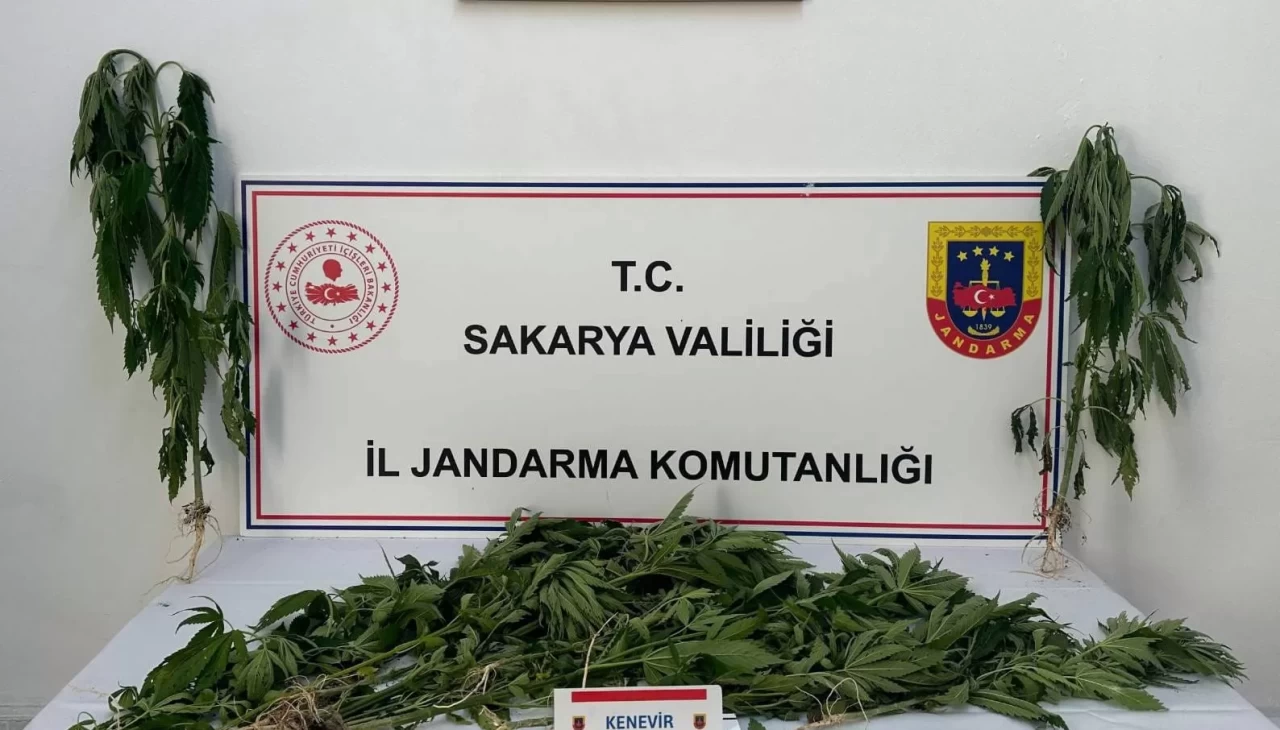 Jandarma uyuşturucuya geçit vermiyor: 3 tutuklama