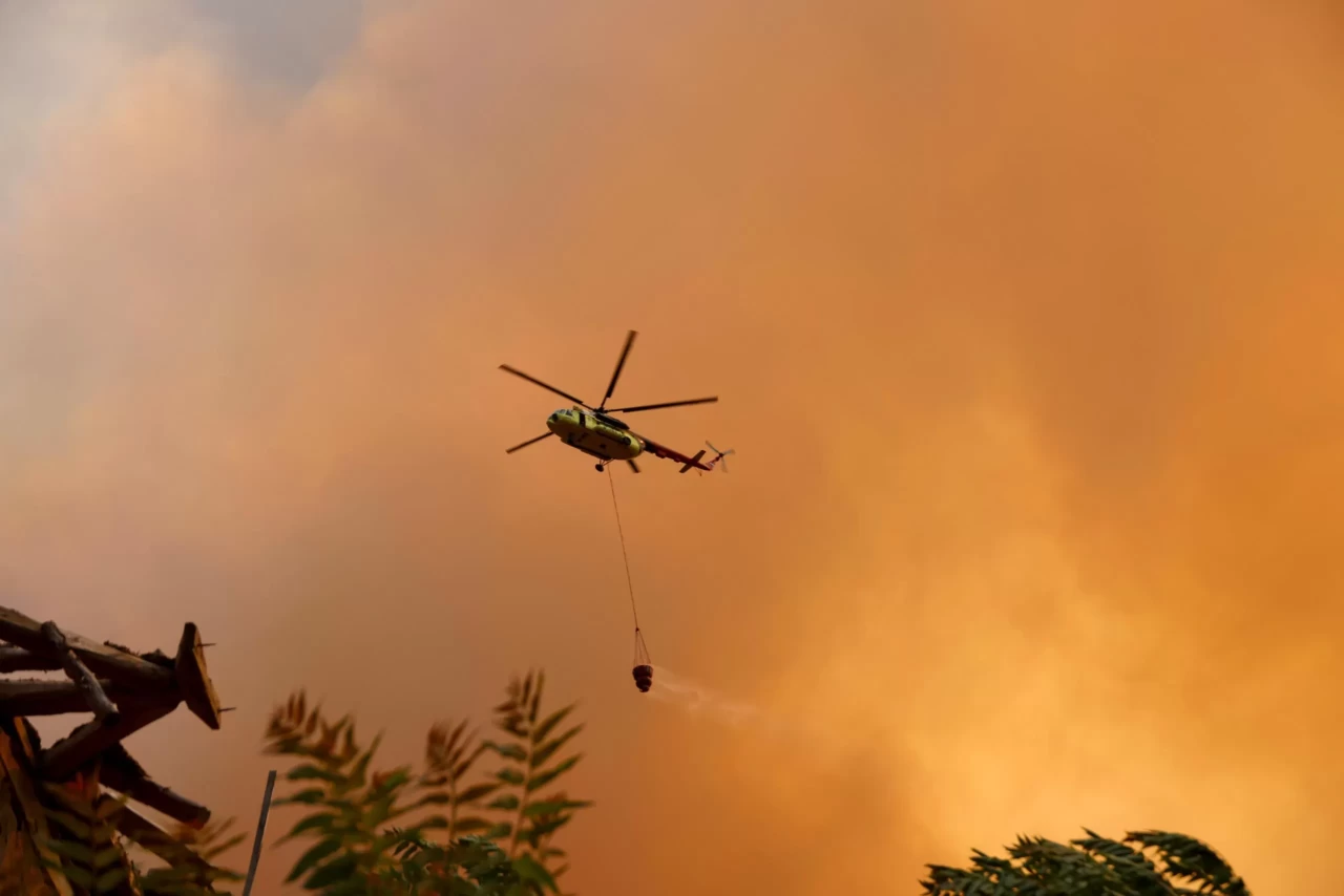 Sakarya'da ormanlık alanda çıkan yangın Bilecik tarafına sıçradı