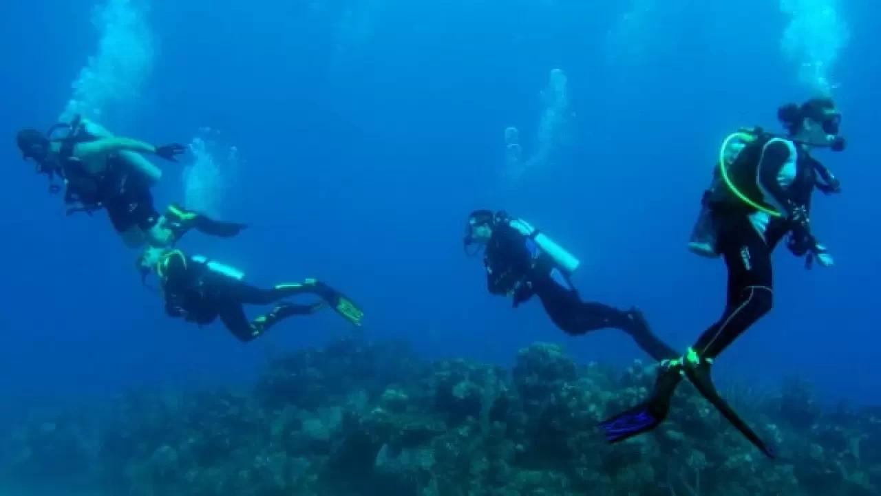 Dalgıç Nasıl Olunur? Dalgıç Olma Şartları Nelerdir?