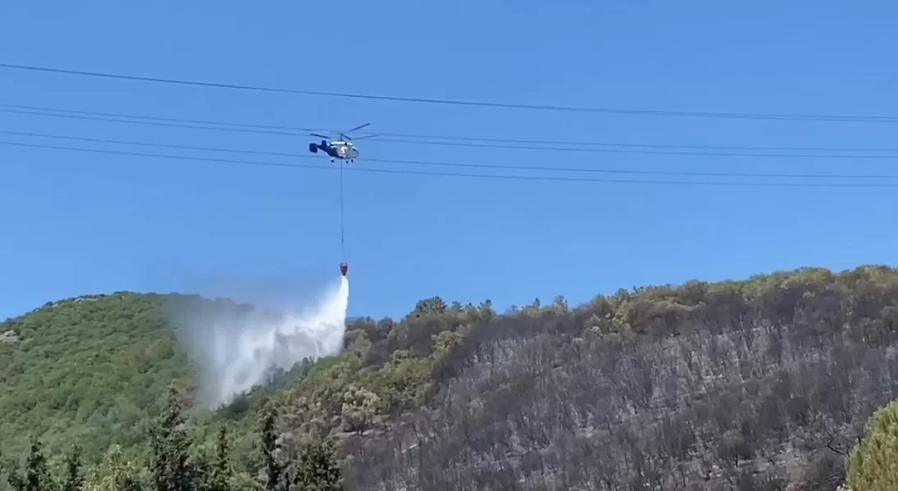 Kocaeli'de ağaçlık alanda çıkan yangın kontrol altına alındı